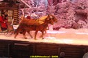 DSC07244.jpg