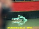 HPIM0578.jpg