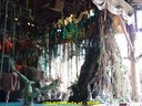 DSC04792.jpg