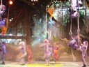 DSC04802.jpg