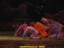 DSC04807.jpg