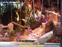 DSC04809.jpg