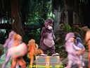 DSC04827.jpg