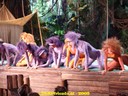 DSC04830.jpg