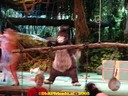 DSC04837.jpg