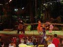 DSC04839.jpg