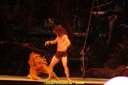 DSC03728.jpg