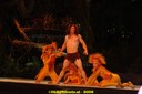 DSC03729.jpg