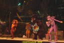 DSC03738.jpg