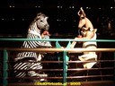 DSC03304.jpg