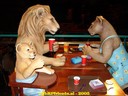 DSC03306.jpg
