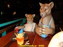 DSC03308.jpg