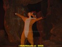 DSC03323.jpg