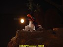 DSC03331.jpg