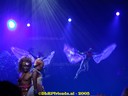 DSC03343.jpg