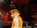 DSC03352.jpg