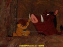 DSC05900.jpg