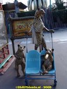 DSC05834.jpg