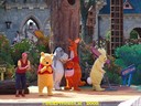 DSC04863.jpg