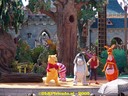 DSC04864.jpg