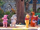 DSC04865.jpg