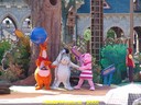 DSC04871.jpg