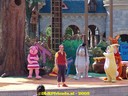 DSC04876.jpg