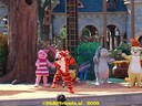 DSC04878.jpg