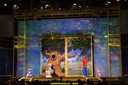 20100803135010DSC03135.jpg