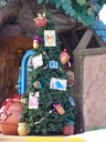 DSC01774.jpg