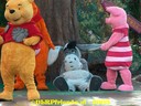 HPIM0799.jpg
