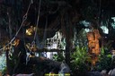 DSC07958.jpg