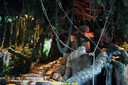 DSC07959.jpg