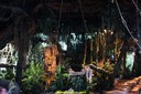DSC07961.jpg