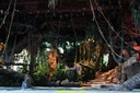 DSC07962.jpg