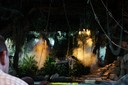 DSC07965.jpg