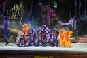 DSC07992.jpg