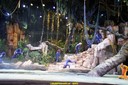 DSC07994.jpg