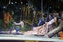 DSC07995.jpg