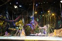 DSC08002.jpg