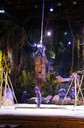 DSC08005.jpg