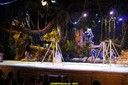 DSC08006.jpg