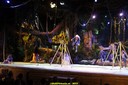 DSC08007.jpg