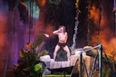DSC08010.jpg