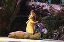 DSC08018.jpg