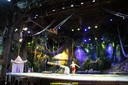 DSC08022.jpg