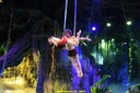 DSC08024.jpg