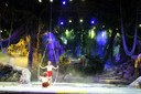 DSC08025.jpg