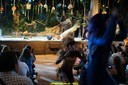 DSC08038.jpg