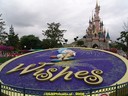DSC04488.jpg